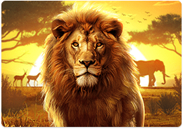 Safari Wilds PG Soft